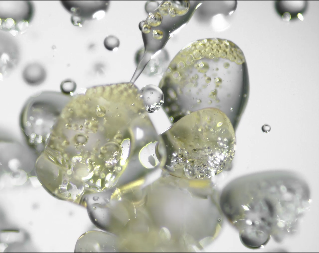 What Are Microalgae and Why Are They Good for My Skin?