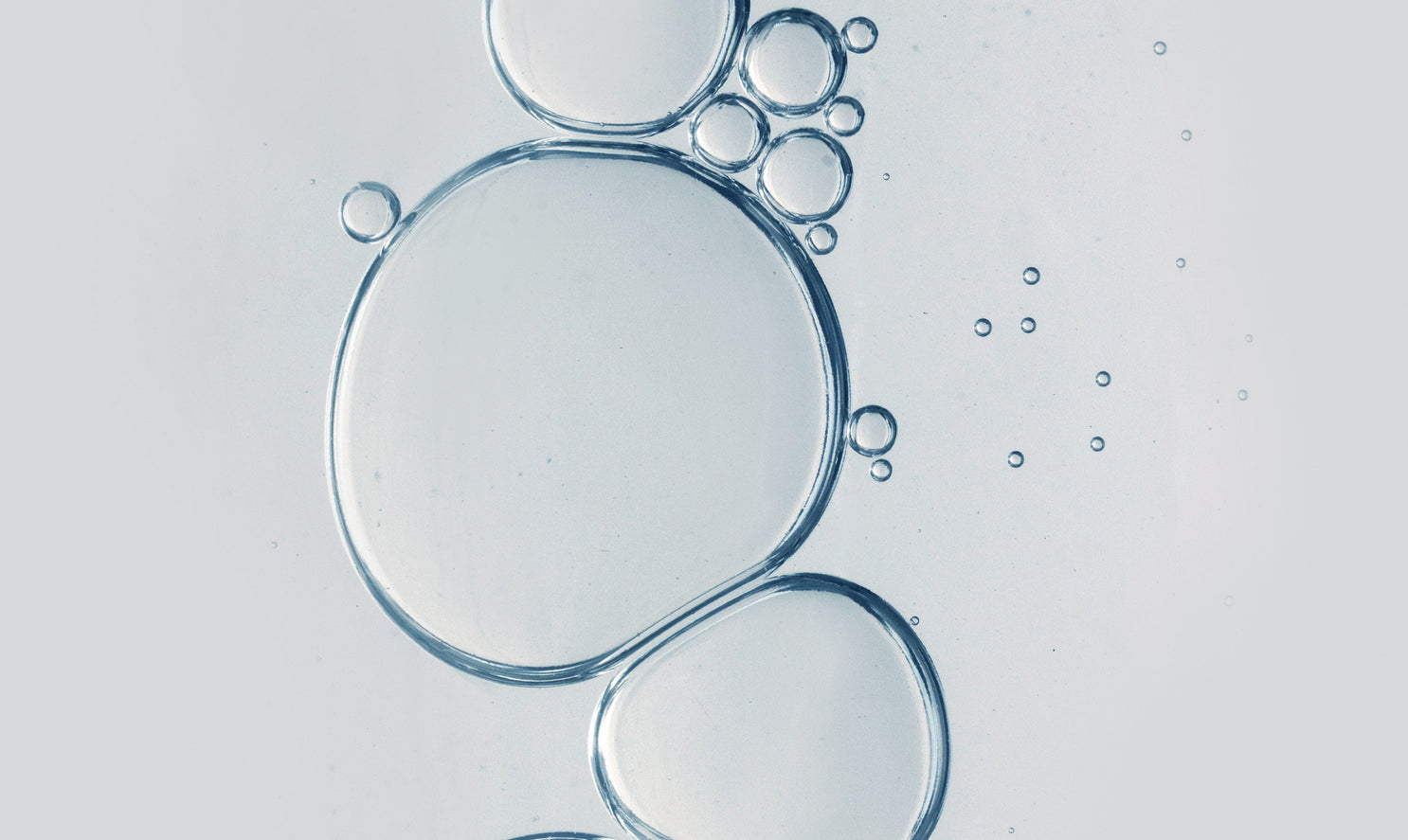 AHAs vs BHA: What Is The Difference?