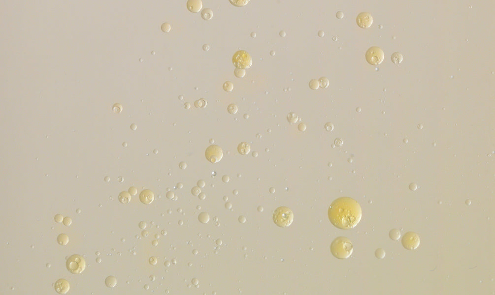 Omega 6 Ceramide