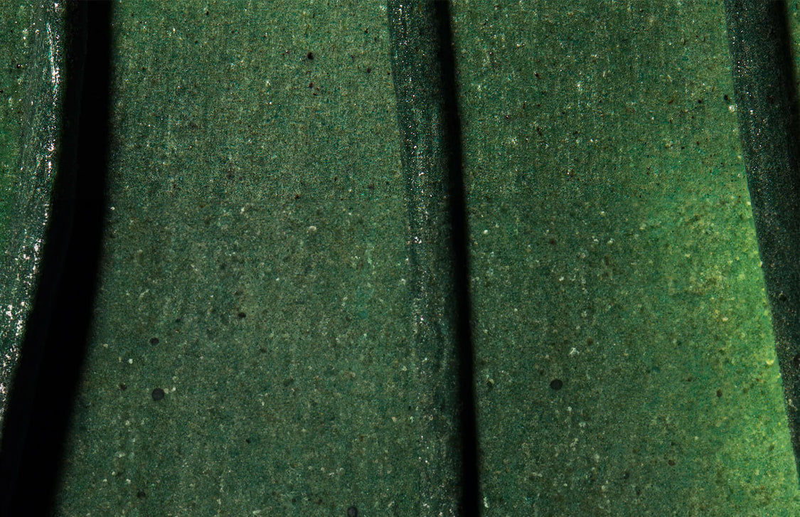 Omorovicza