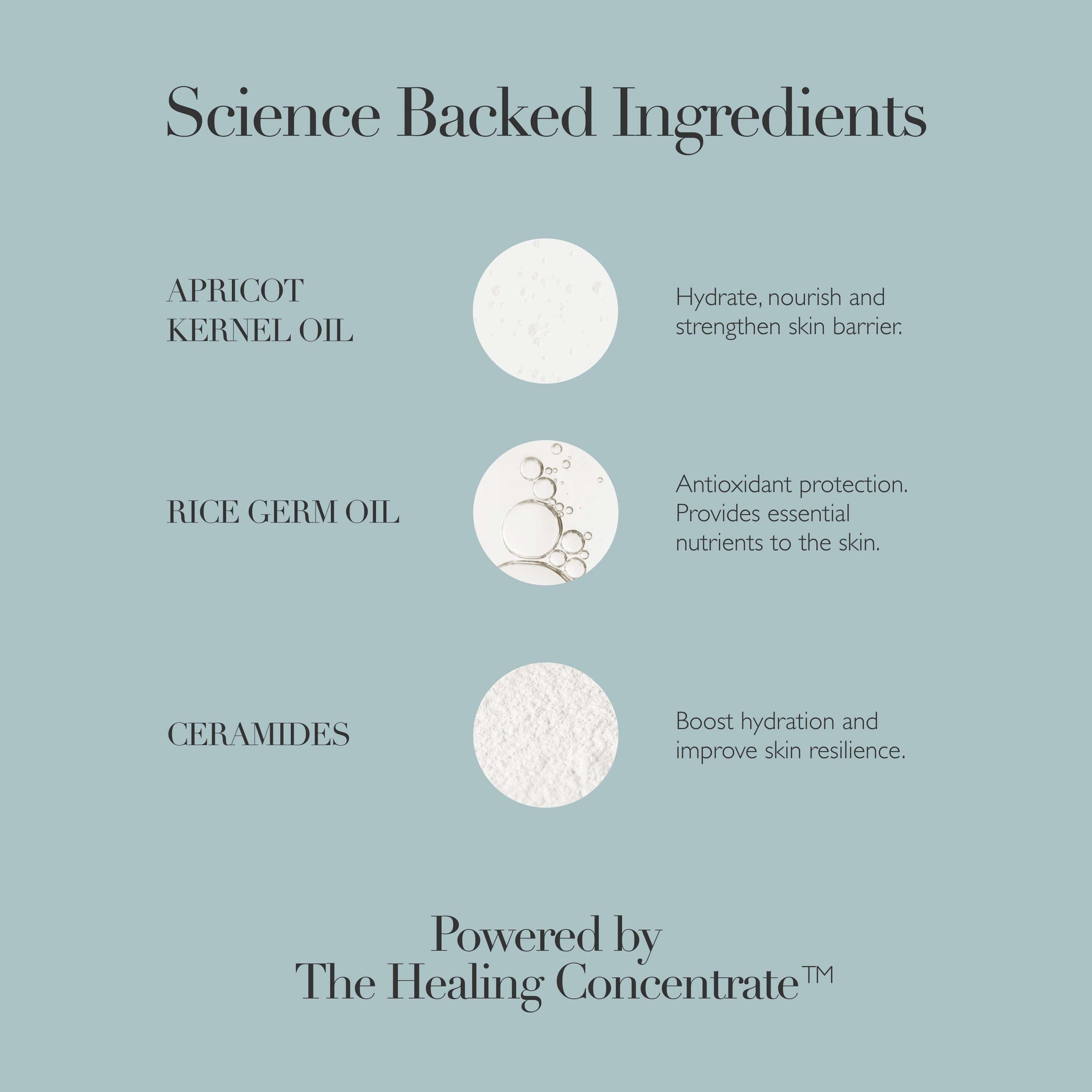 Body Cream