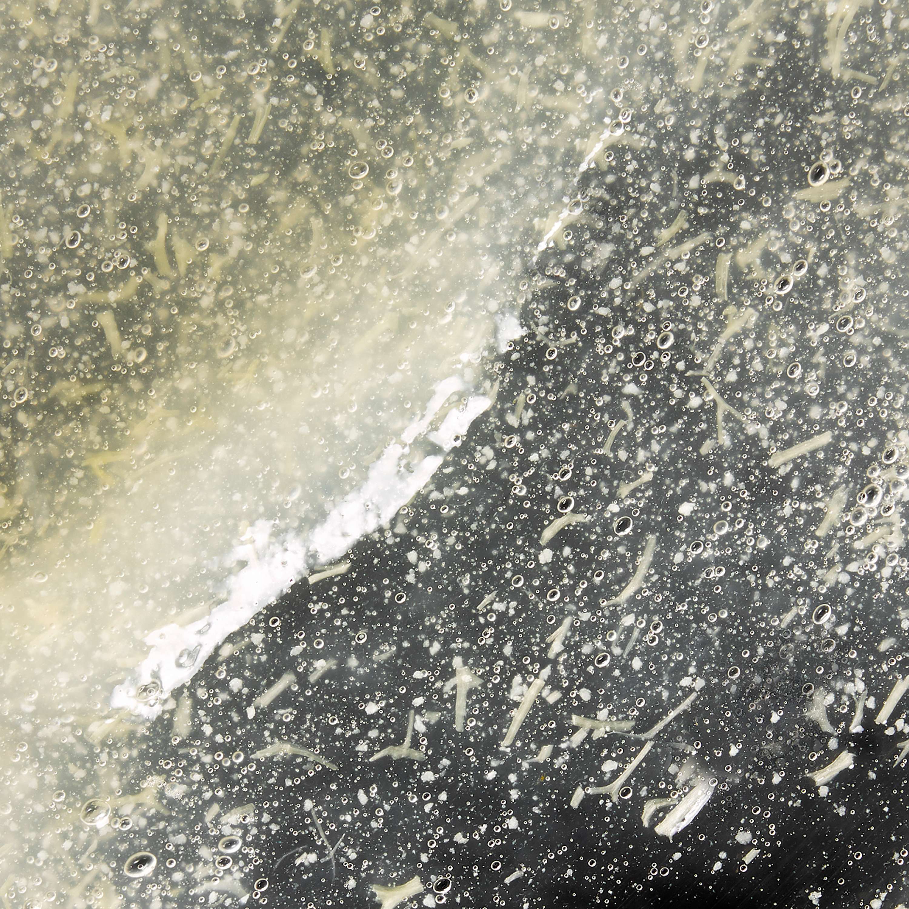 Gentle Buffing Gelée – Omorovicza