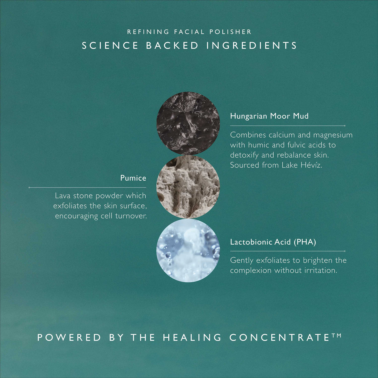 Refining Facial Polisher