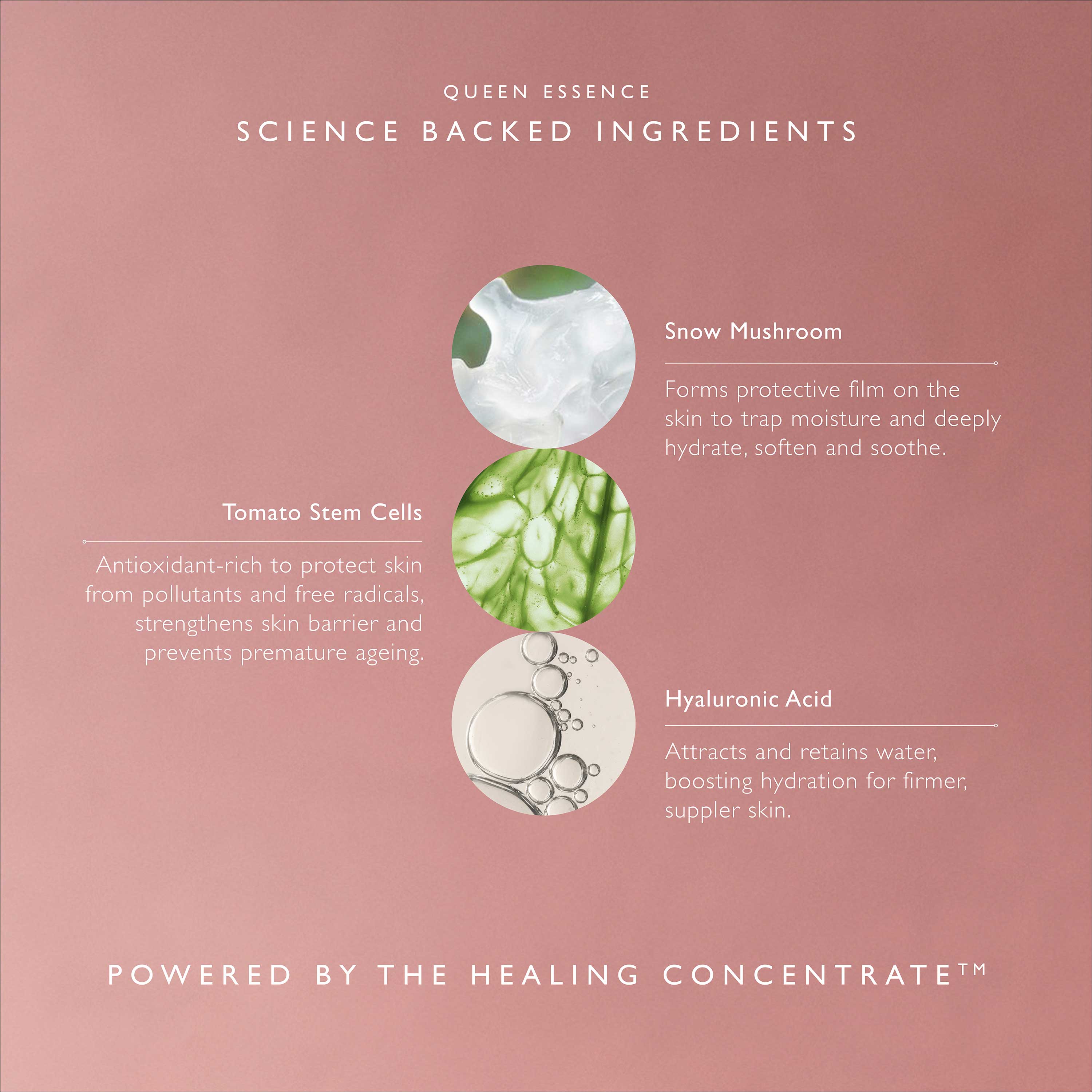 Queen Essence – Omorovicza