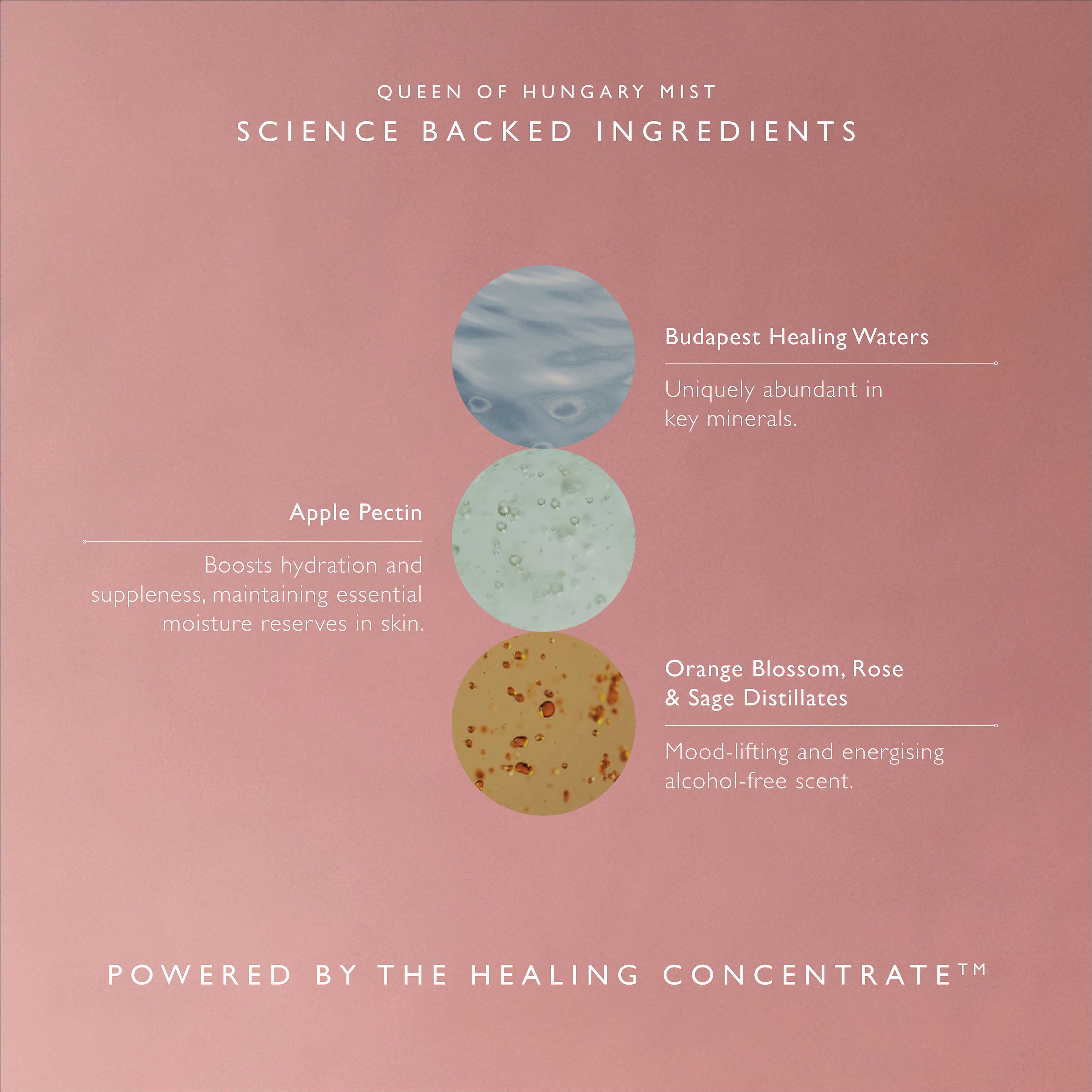 Queen of Hungary Mist Mini – Omorovicza