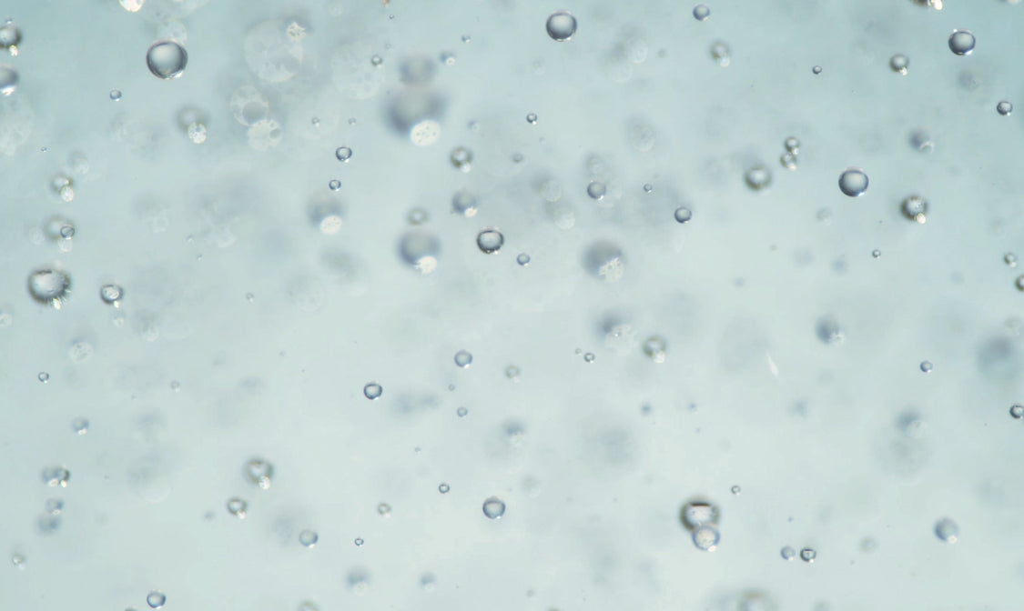 Polyglutamic Acid
