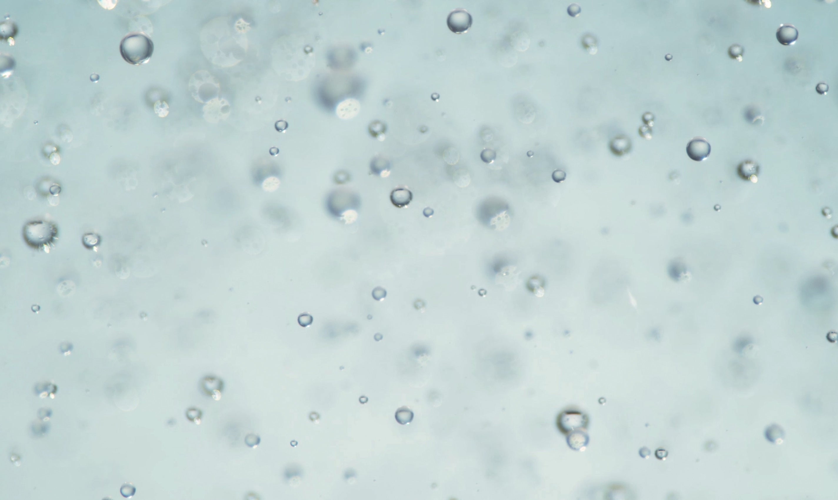 Polyglutamic Acid