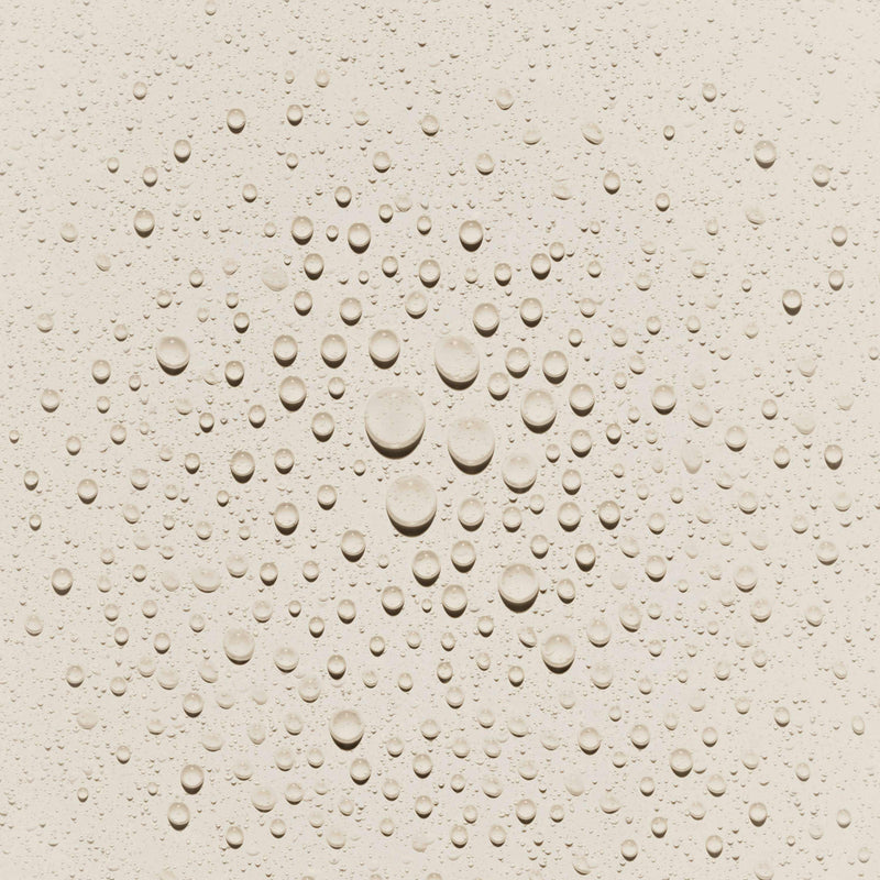 A close up of texture of Queen of Hungary Evening Mist many drops of different sizes on a creamy background.
