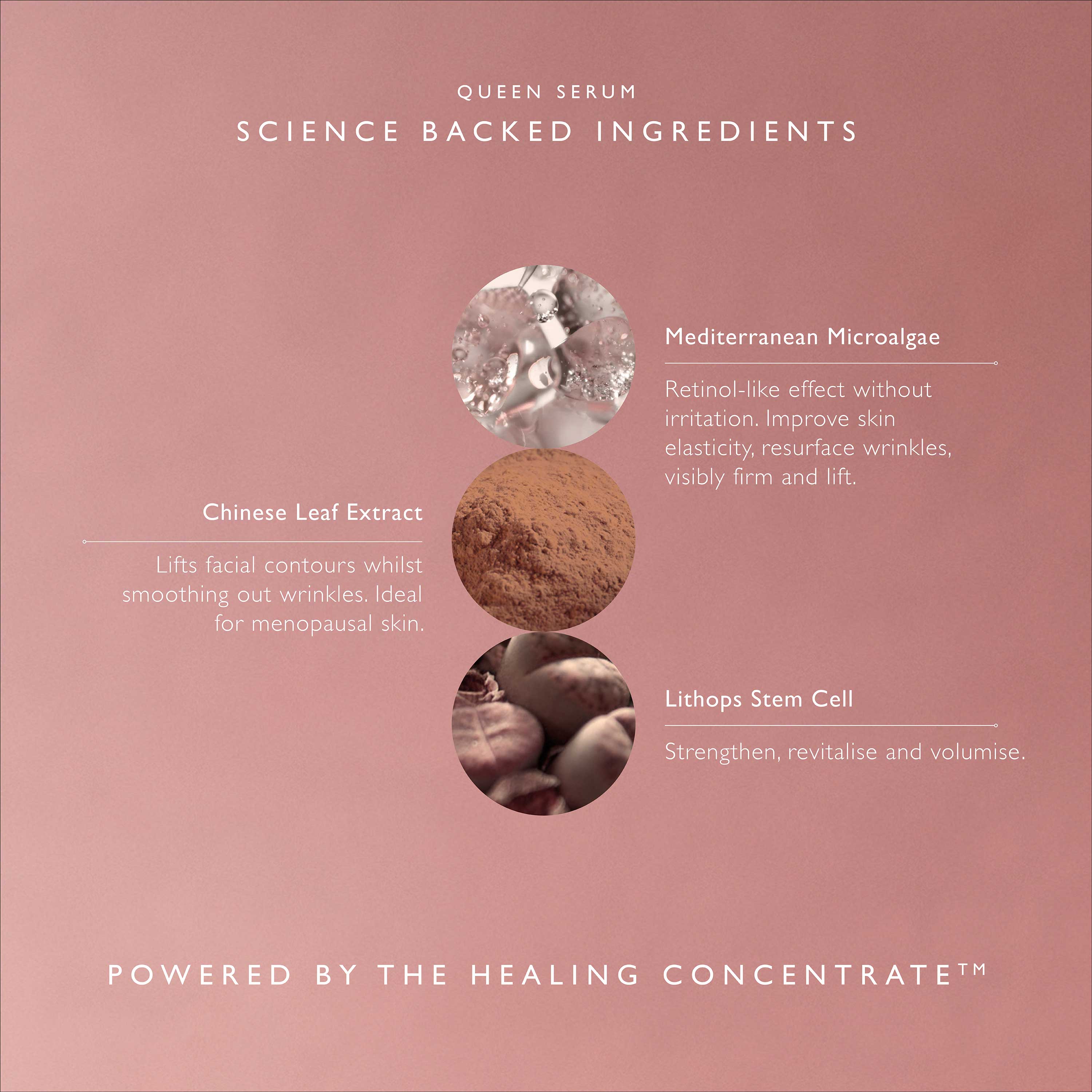 Queen Serum – Omorovicza