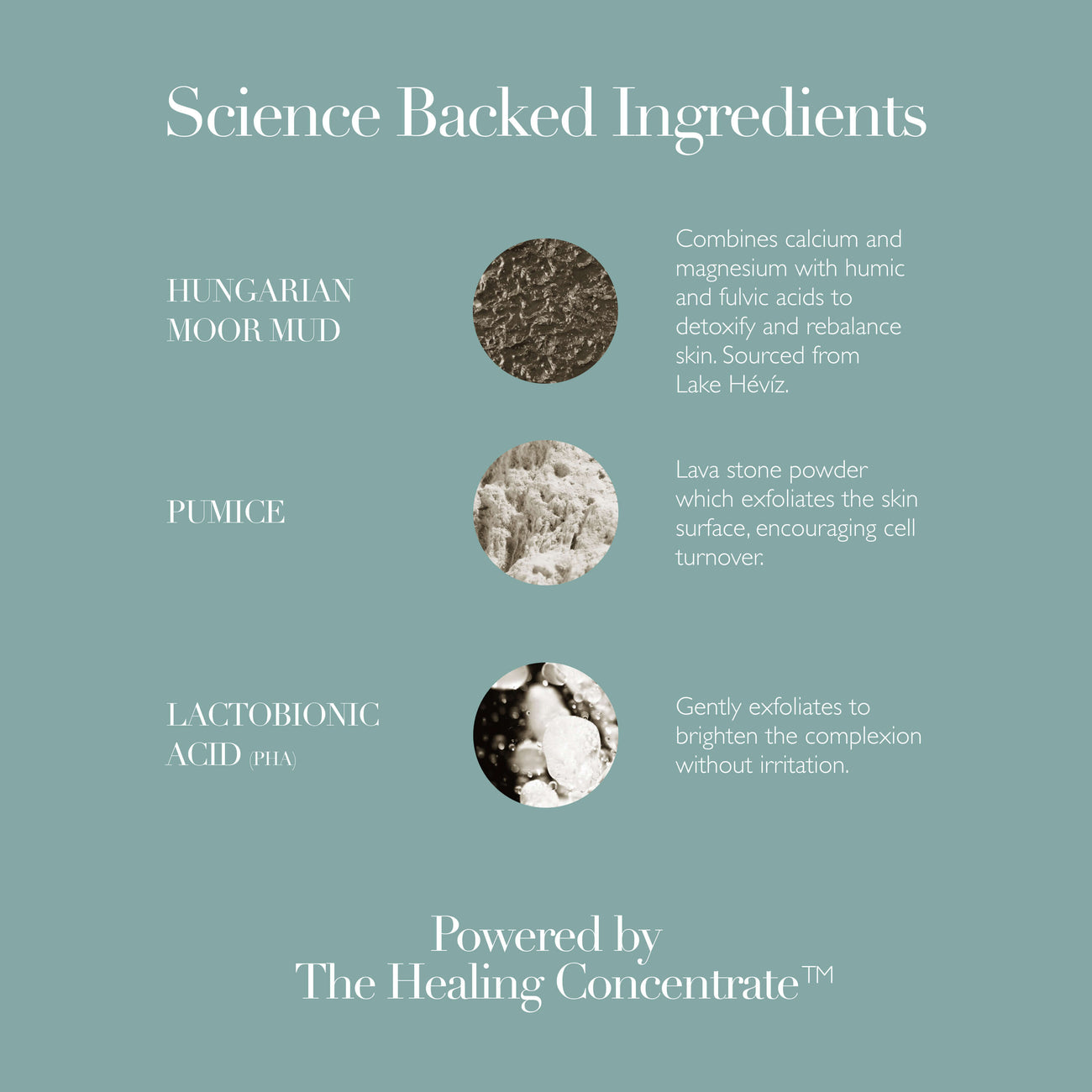 Refining Facial Polisher