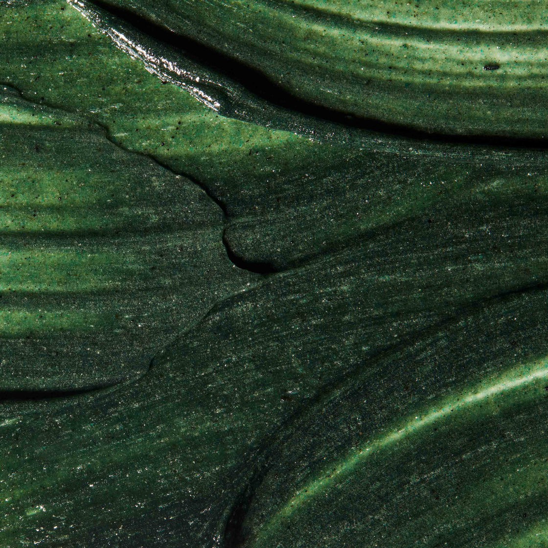 Omorovicza