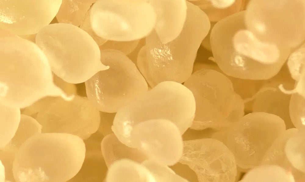 White Lupin Extract